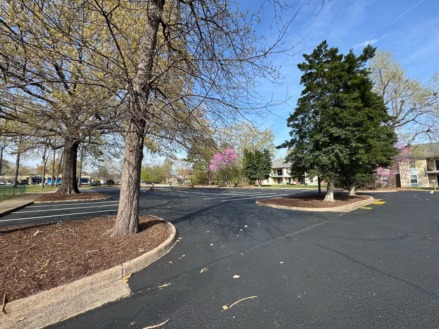 Freshly sealcoated parking lot — April 2026